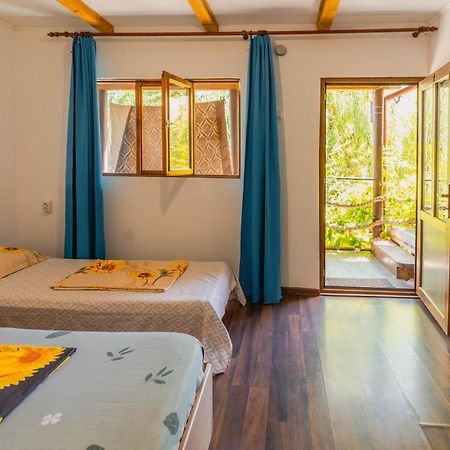 Hotel Casa Dexter Vama Veche Exteriér fotografie