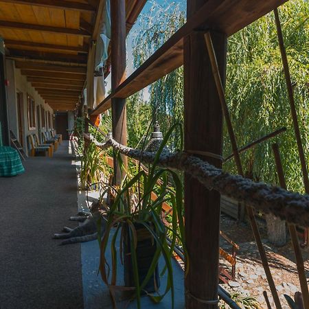 Hotel Casa Dexter Vama Veche Exteriér fotografie
