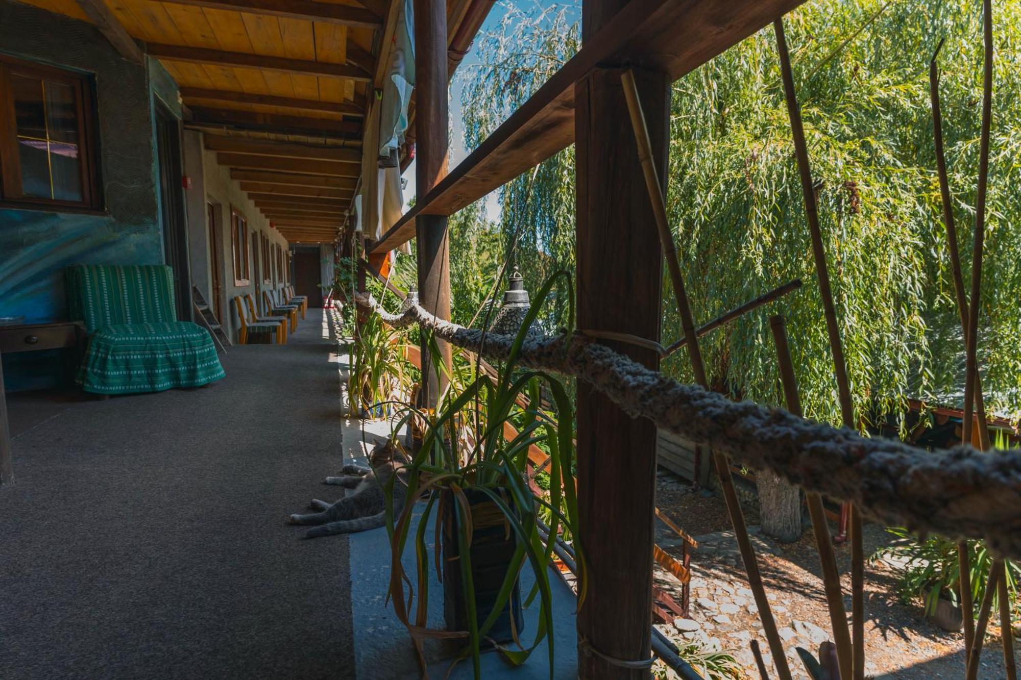 Hotel Casa Dexter Vama Veche Exteriér fotografie